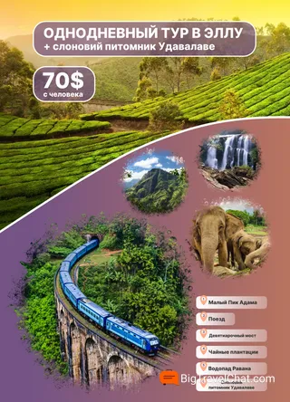Элла и слоны 70